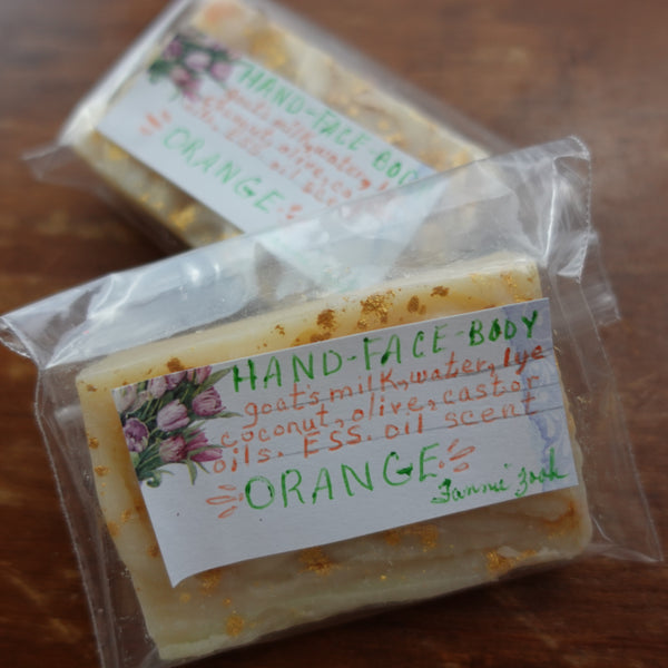 Goat's Milk Soap (5-packs)